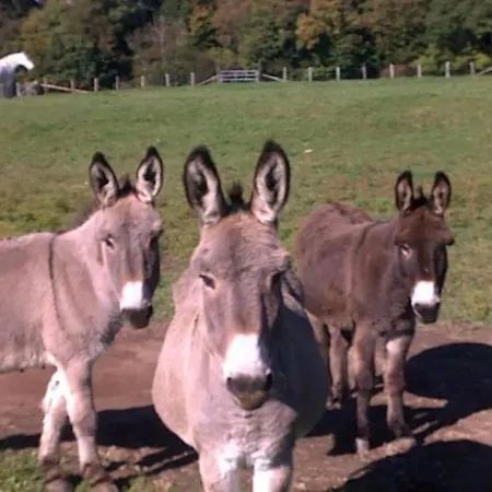 Prázdninový dům Proche Circuit 24 Le Mans Proche De Paris Jeux Olympiques Autoroute A 5km La Chapelle-Saint-Remy