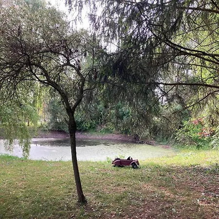 Proche Circuit 24 Le Mans Proche De Paris Jeux Olympiques Autoroute A 5km Prázdninový dům La Chapelle-Saint-Remy