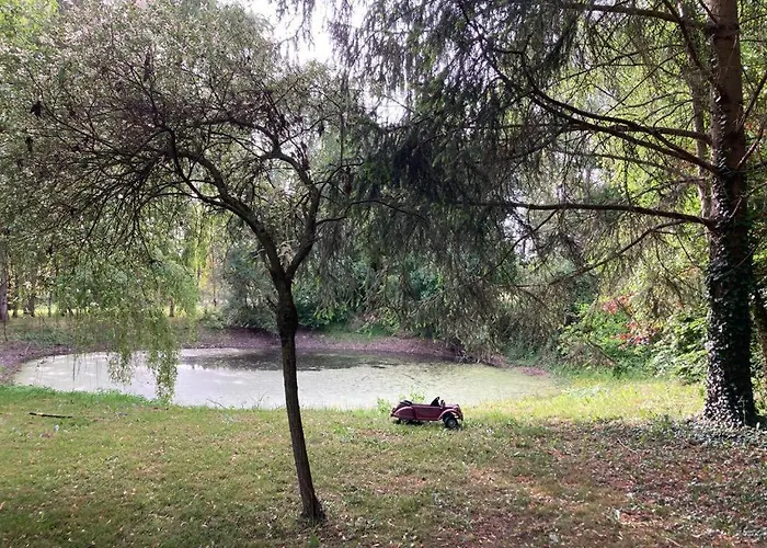 Proche Circuit 24 Le Mans Proche De Paris Jeux Olympiques Autoroute A 5km 펜션 La Chapelle-Saint-Remy